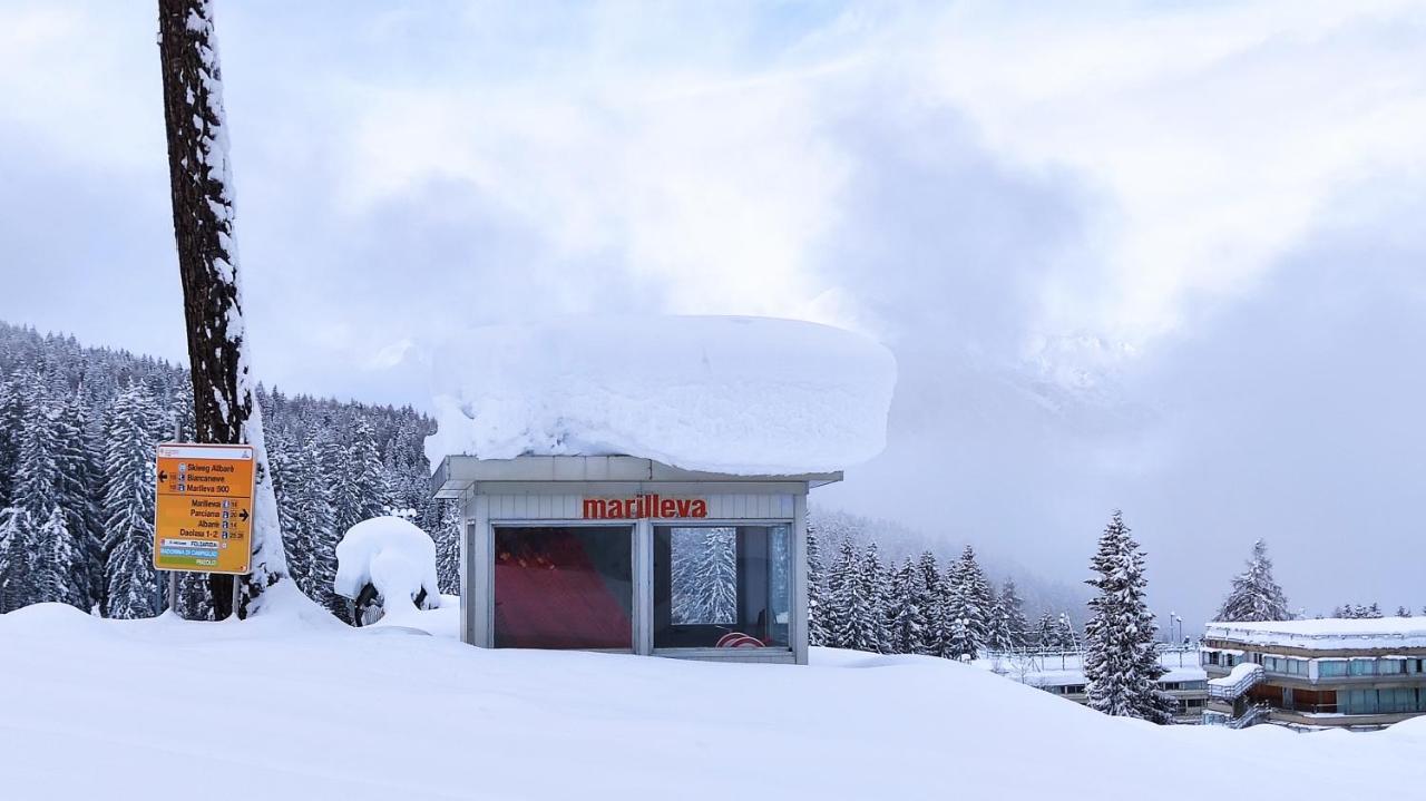 Marilleva 1400 Appartamenti Montana エクステリア 写真